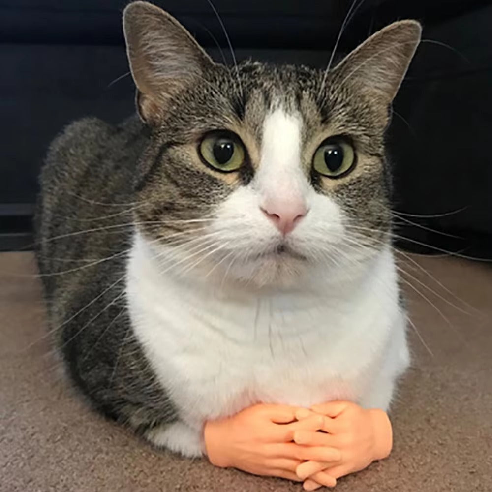 Hilarious Human Hand Gloves for Cats