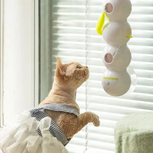 Automatic Peek-a-Worm Motion Cat Toy