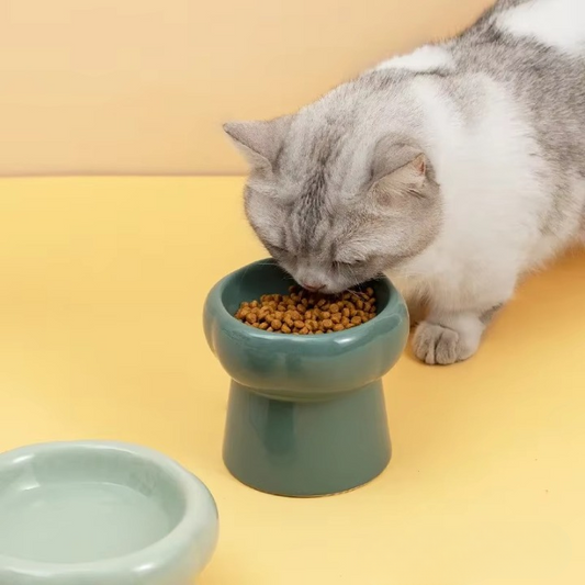 Elevated Ceramic Cat Bowl