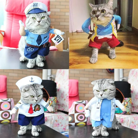 Funny Cat Costume