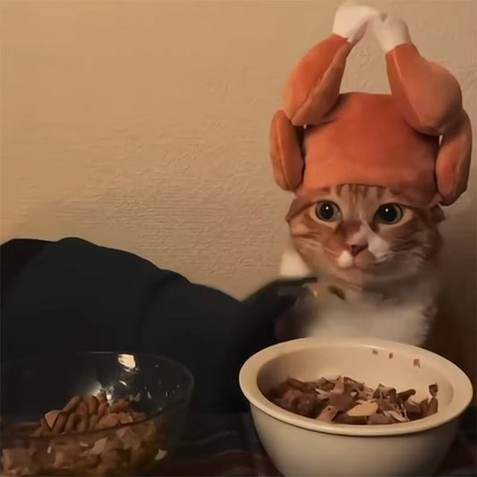 Funny Thanksgiving Turkey Hat for Cats
