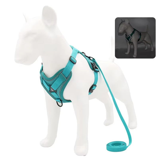 No-Pull Dog Harness & Leash Set