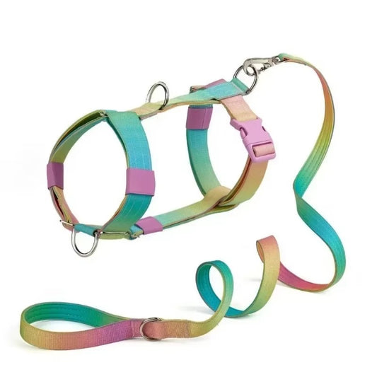 Gradient Comfort Dog Harness Set