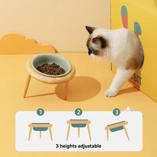 Stylish Tilted Ceramic Feeder