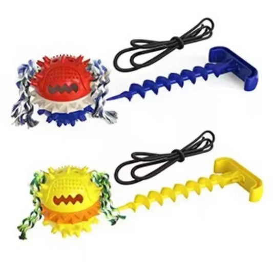 Outdoor Tug Toy for Dogs