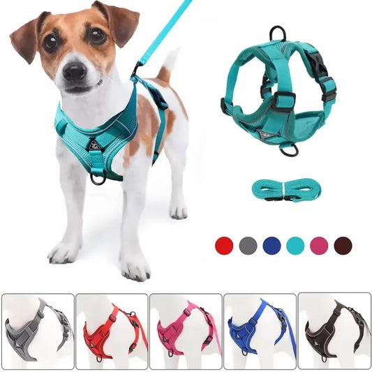No-Pull Dog Harness & Leash Set