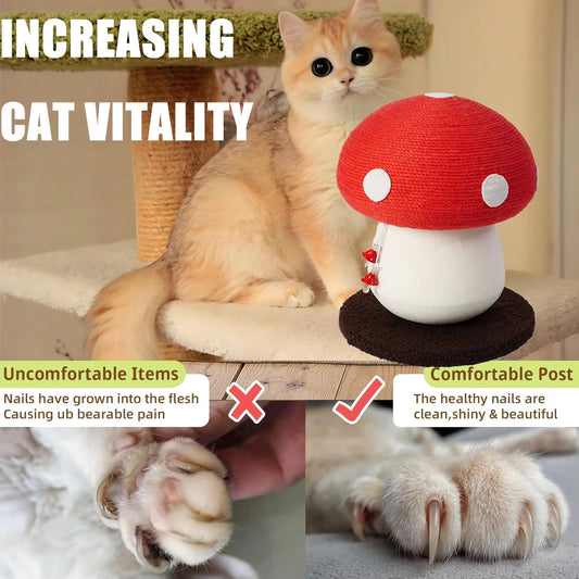 Mushroom Cat Scratching Post