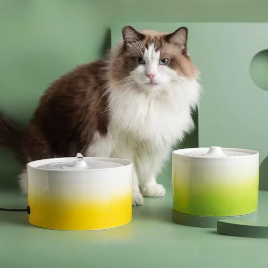 Ceramic Gradient Cat Water Fountain