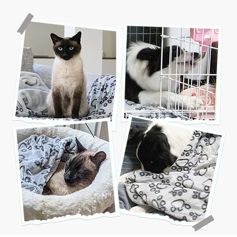 Calming Pet Blanket for Cats & Dogs