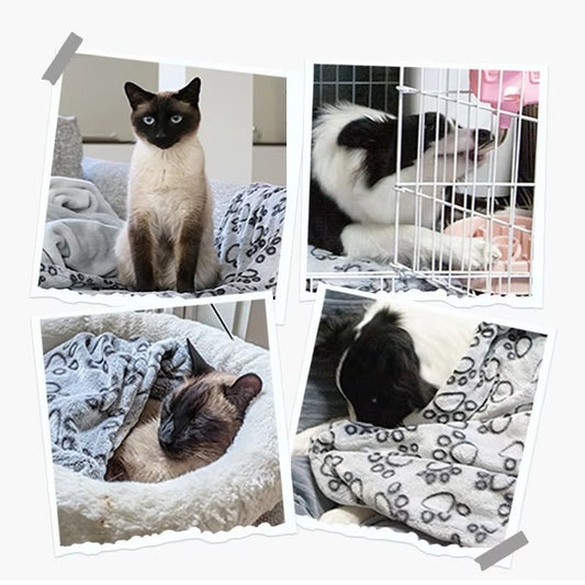 Calming Pet Blanket for Cats & Dogs