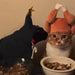 Funny Thanksgiving Turkey Hat for Cats