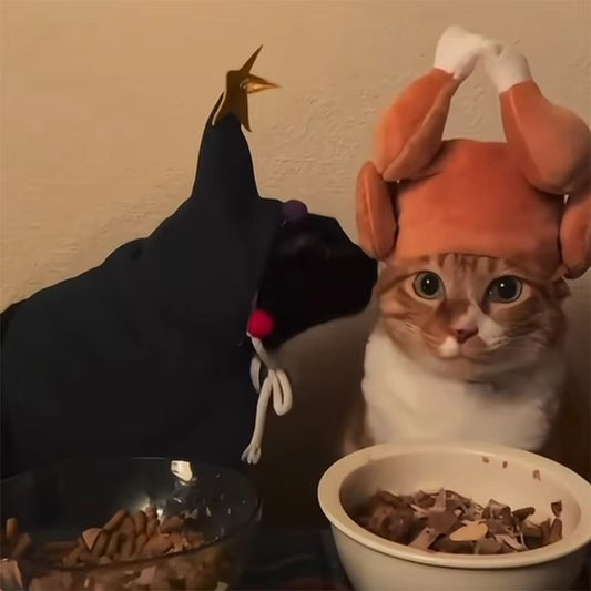 Funny Thanksgiving Turkey Hat for Cats