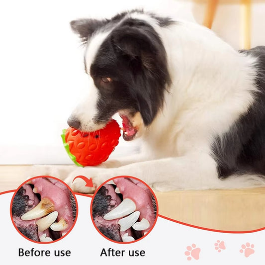 Snuffle Strawberry Toy for Dogs
