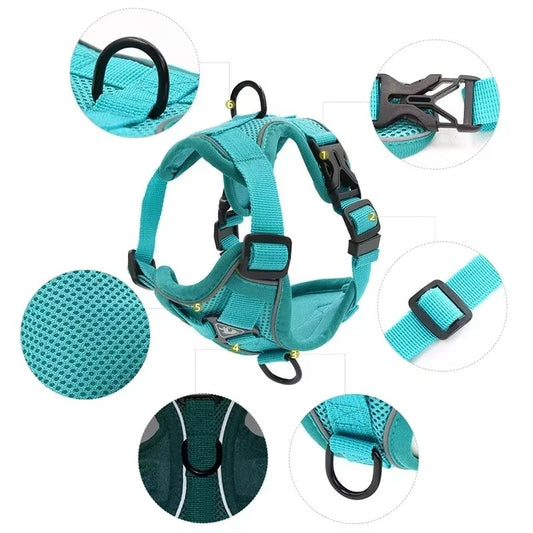 No-Pull Dog Harness & Leash Set