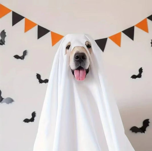 Dog Ghost Halloween Costumes