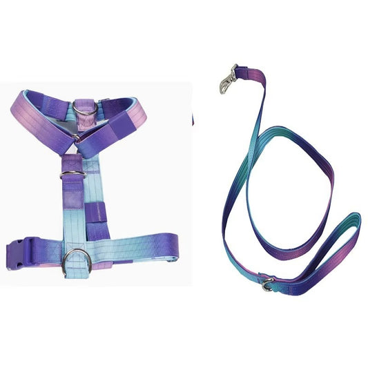 Gradient Comfort Dog Harness Set