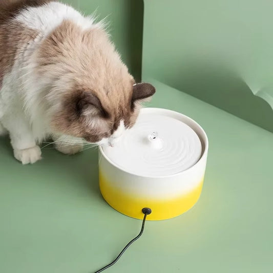 Ceramic Gradient Cat Water Fountain