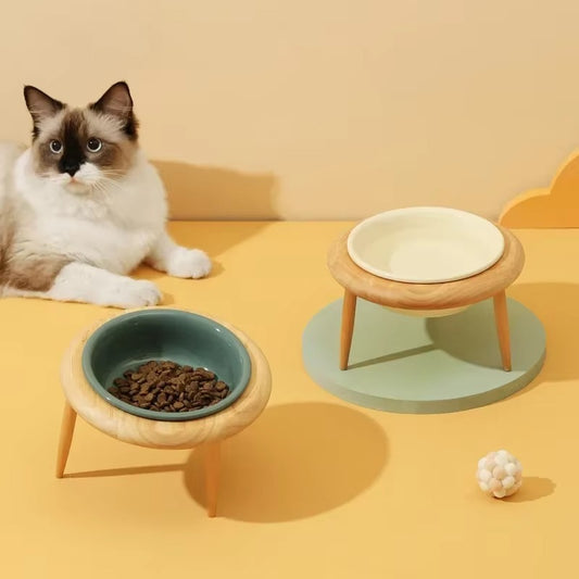 Stylish Tilted Ceramic Feeder