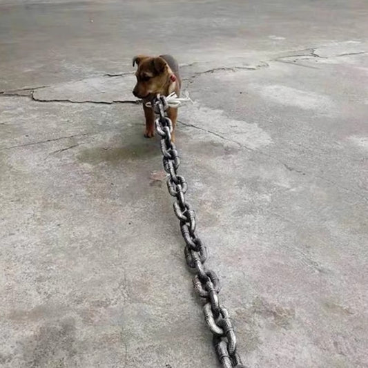 Chunky Chain Leash for Dogs