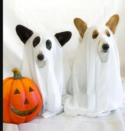 Dog Ghost Halloween Costumes