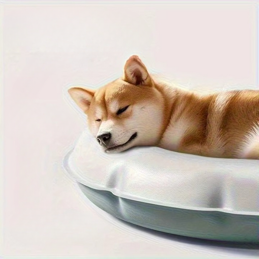 Cooling Raised Pet Nest for Cats & Dogs
