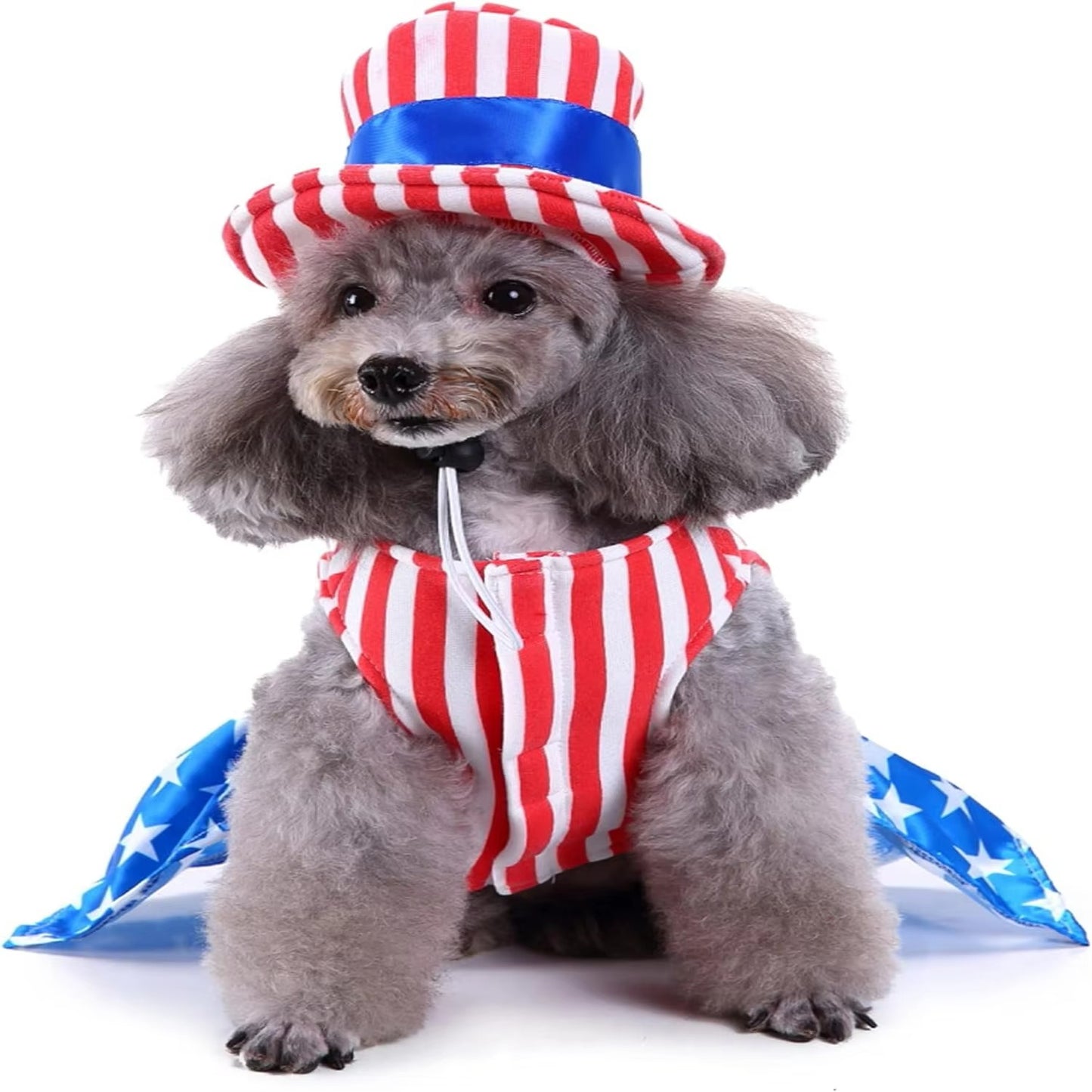 4th of July USA Outfit for Cats & Small Dogs