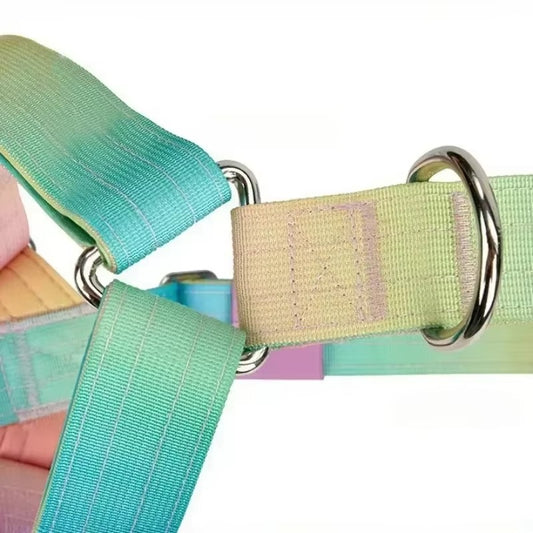 Gradient Comfort Dog Harness Set