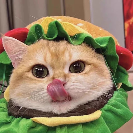 Burger Cat Costume