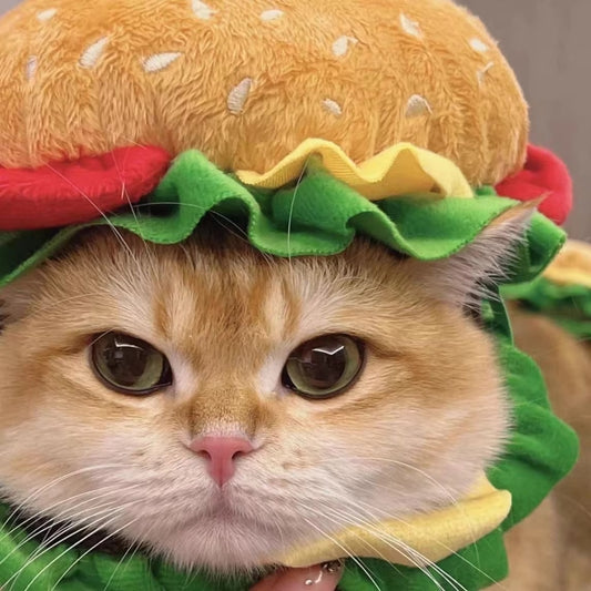 Burger Cat Costume