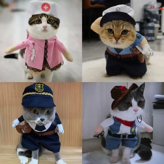 Funny Cat Costume