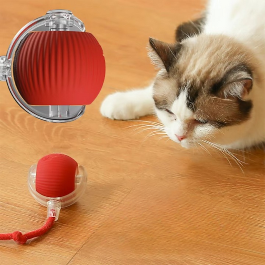 Rolling Pet Toy Ball
