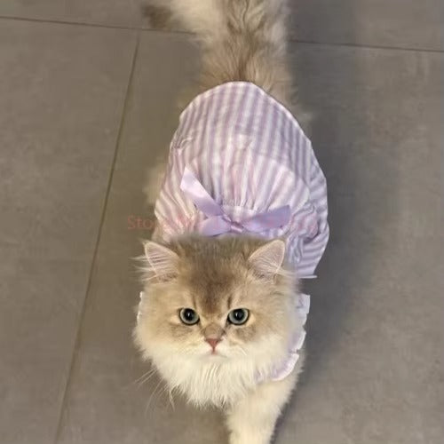 Lavender Stripe Cat Princess Dress