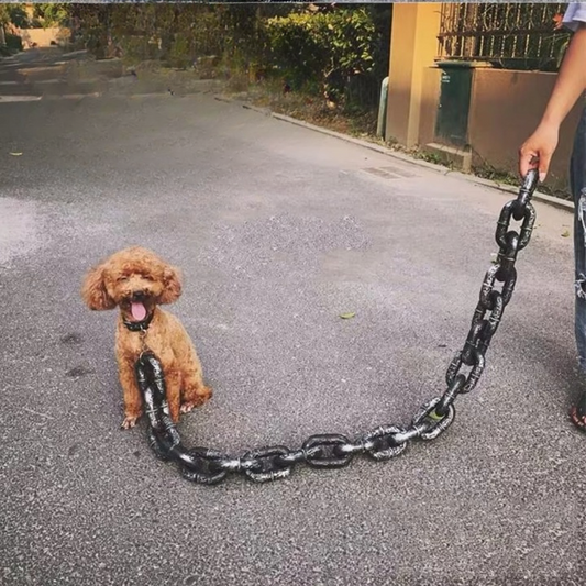 Chunky Chain Leash for Dogs