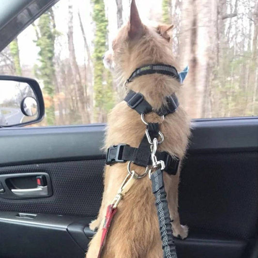 Adjustable Pet Seatbelt | BUY 1 GET 1 FREE (2PCS)