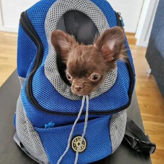 Dog Carrier Travel Backpack
