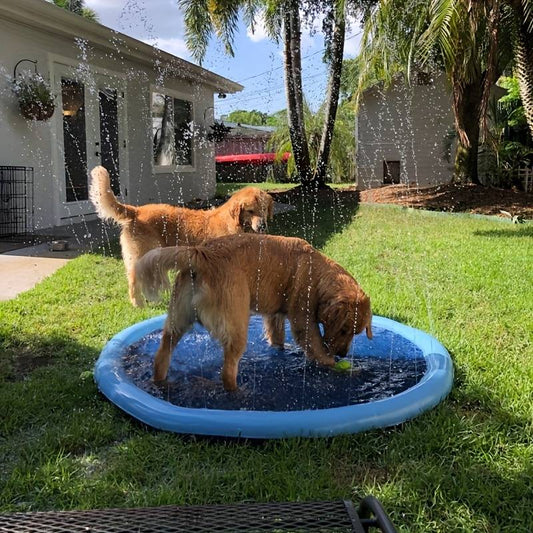 Dog Sprinkler Pad