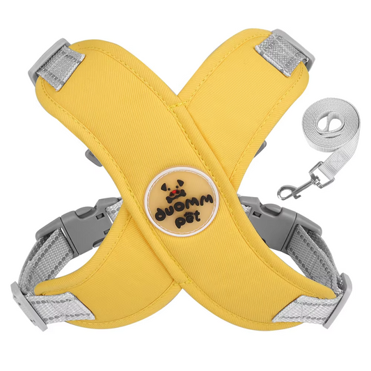 No-Pull Harness for Small & Medium Dogs