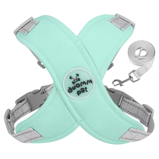 No-Pull Harness for Small & Medium Dogs