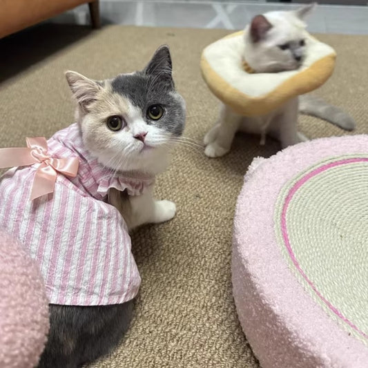 Lavender Stripe Cat Princess Dress