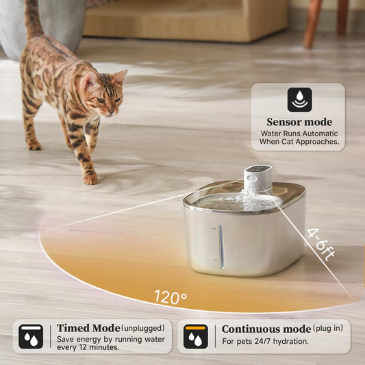 Smart Cat Water Fountain