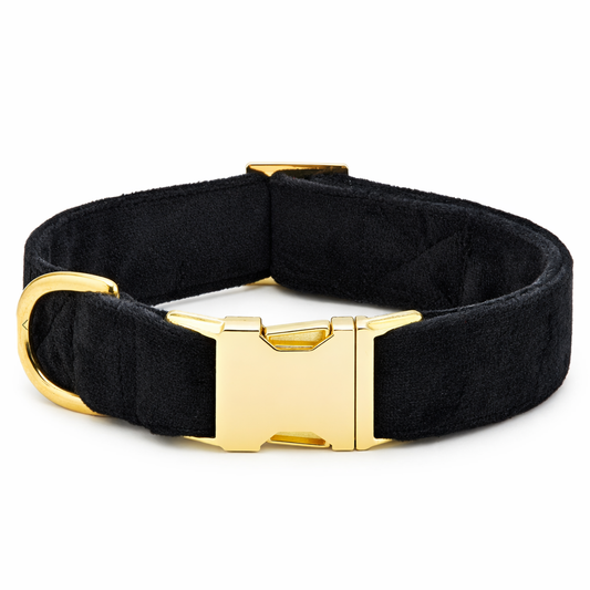 Adjustable Canine Collar | Classic Black Elegance