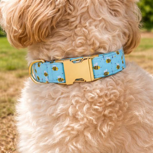 Buzzing Bee Pattern Dog Collar for Stylish Walks