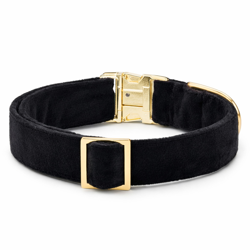 Adjustable Canine Collar | Classic Black Elegance